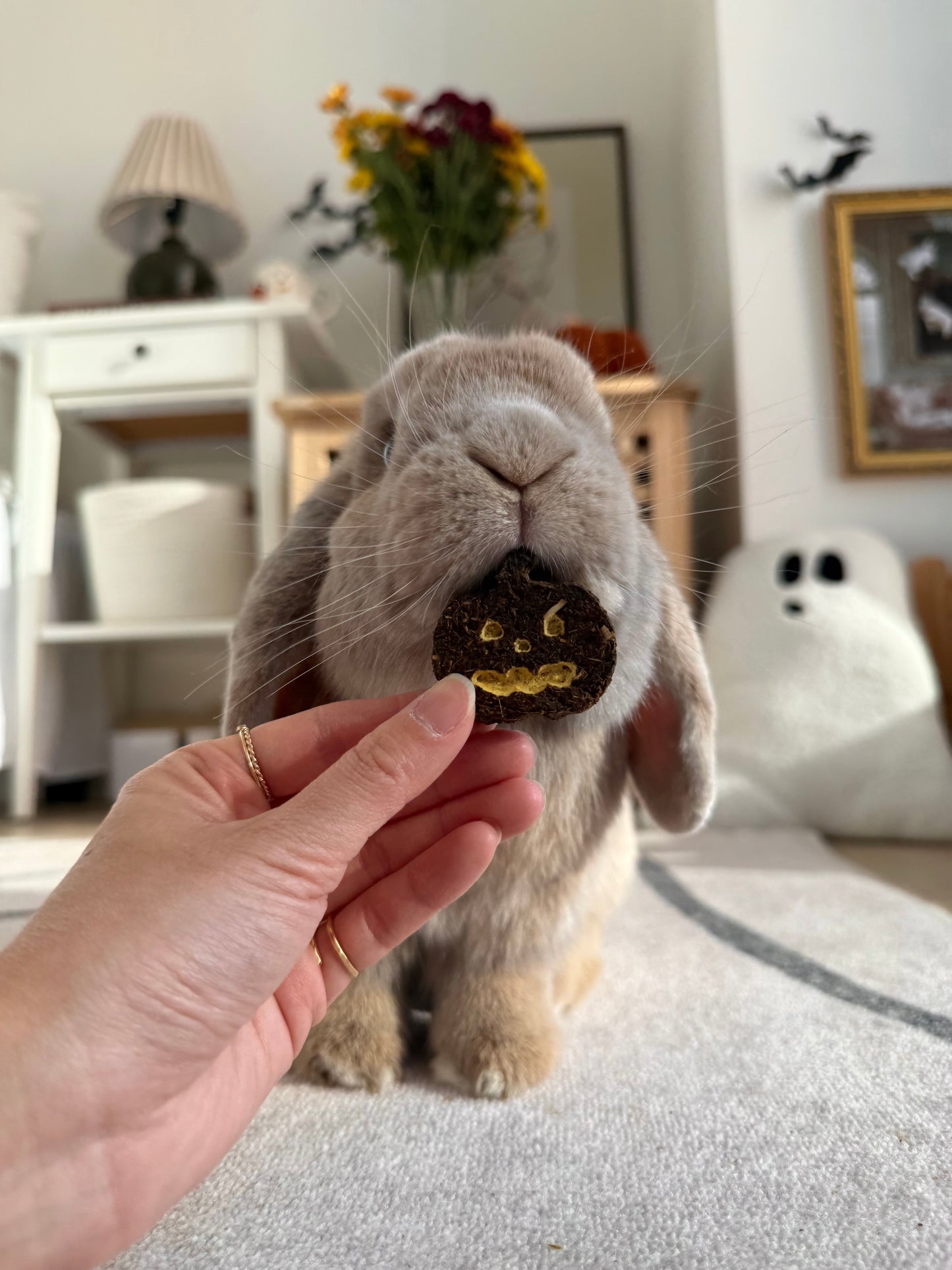 Halloween Binky Bundle