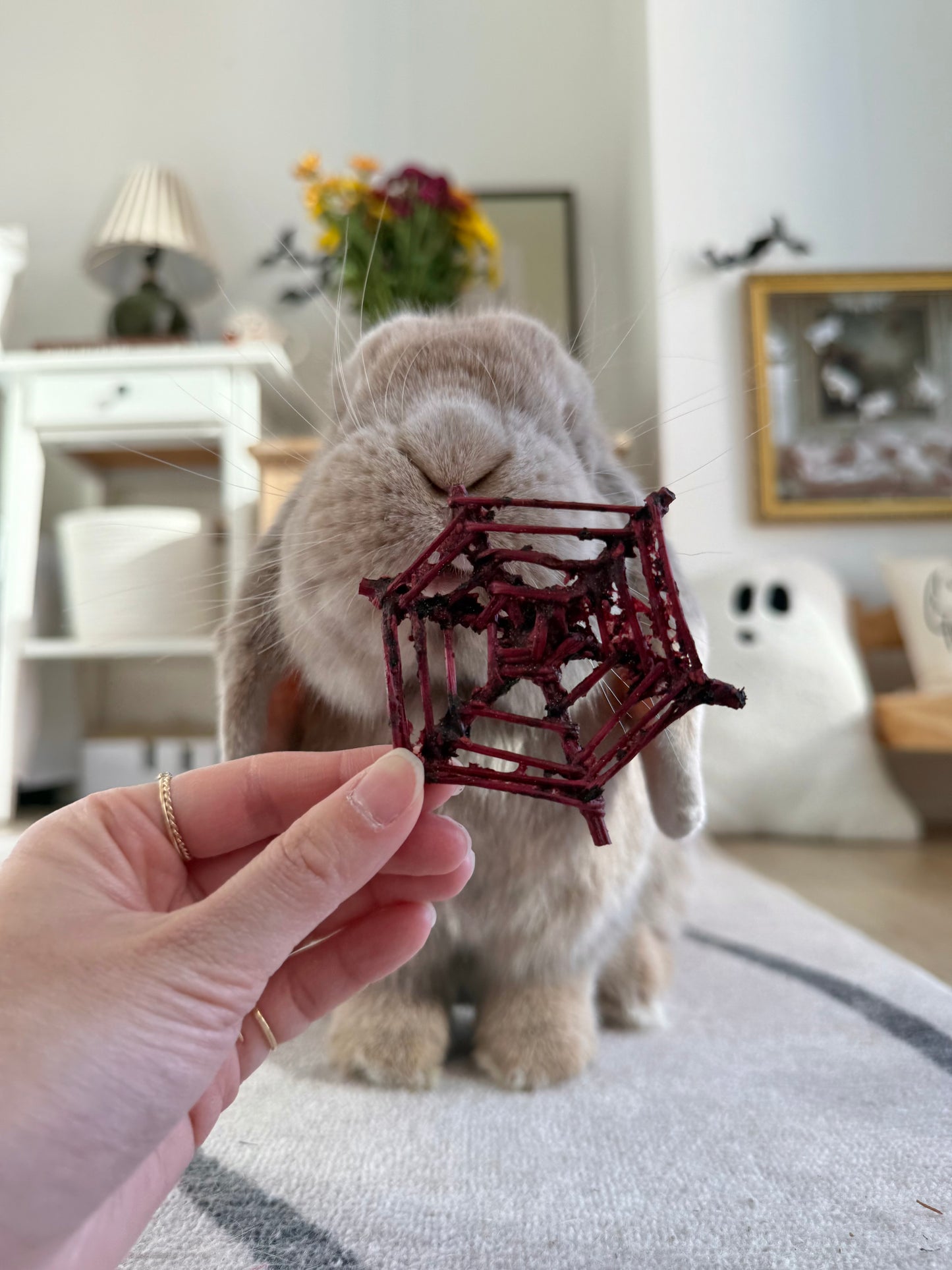 Halloween Binky Bundle