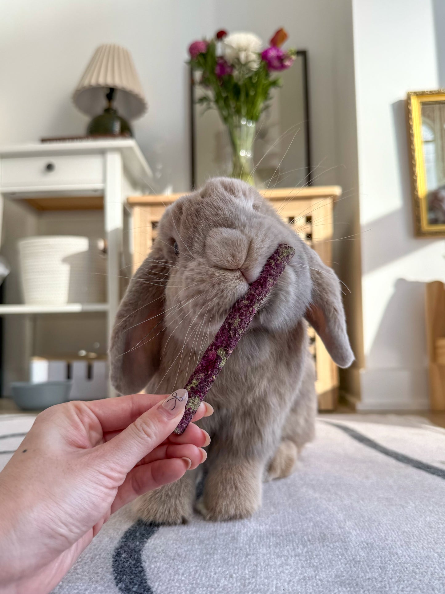 Hay Sticks