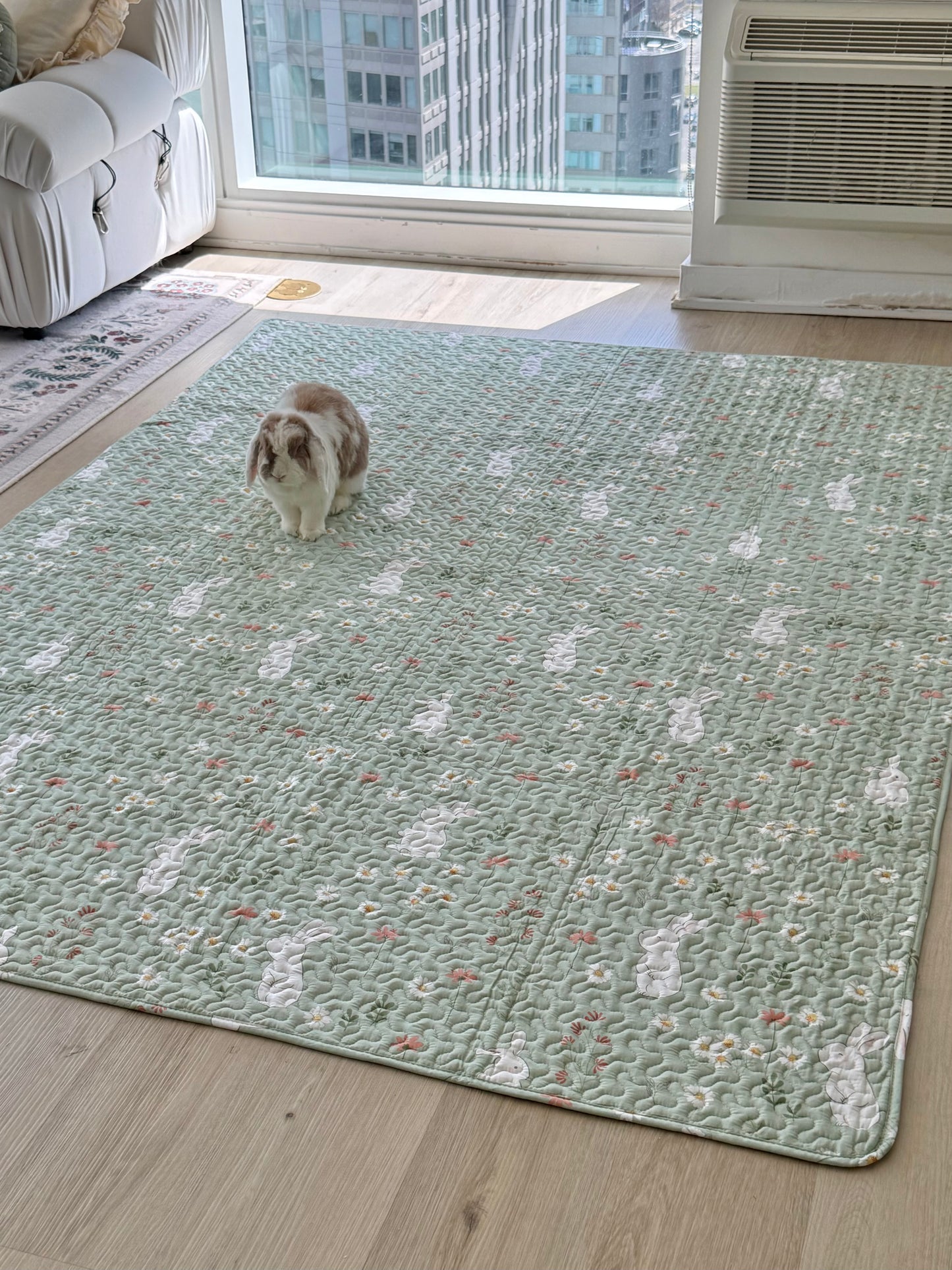 Binky Mat