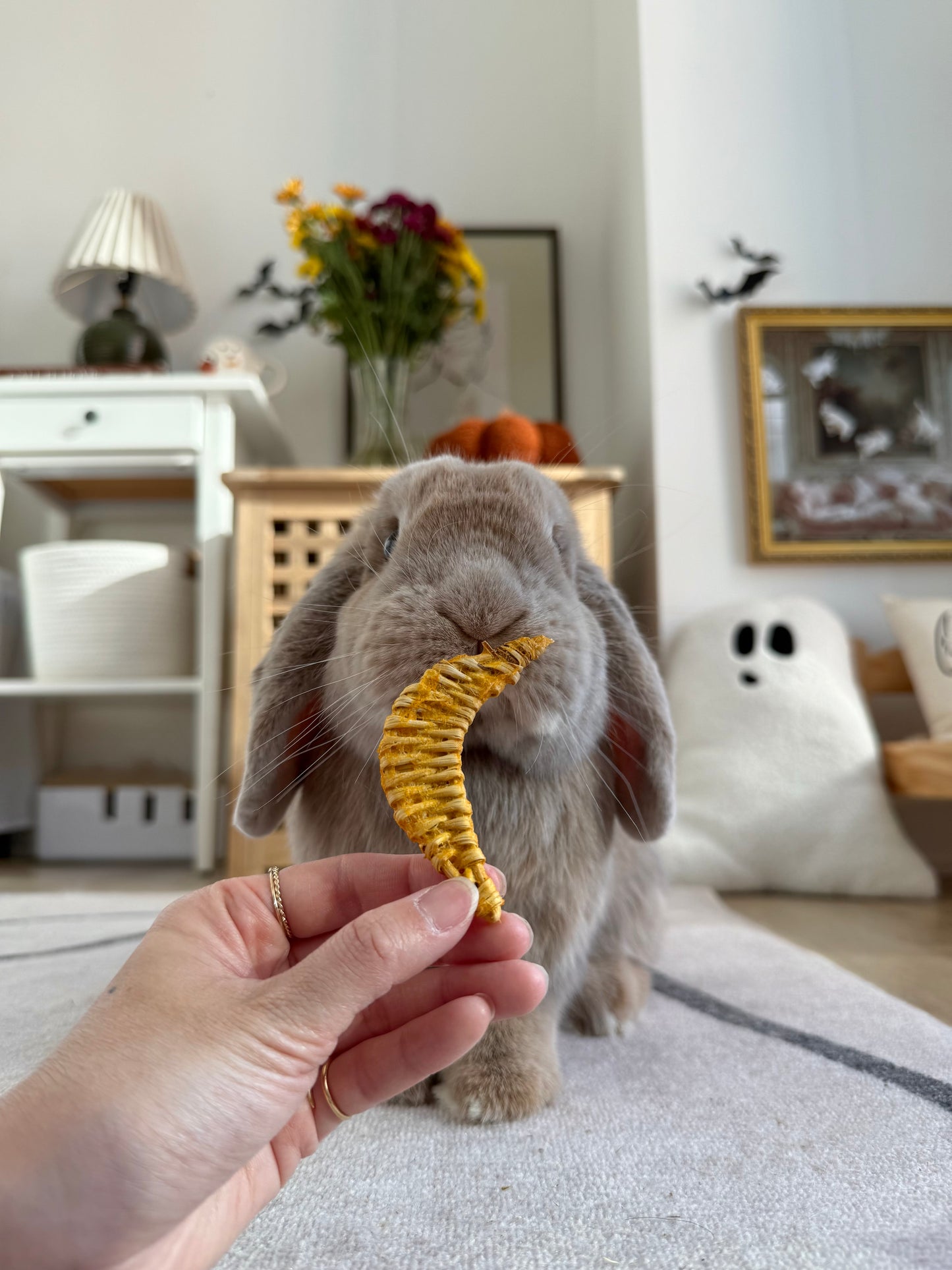 Bewitched Moon Chew