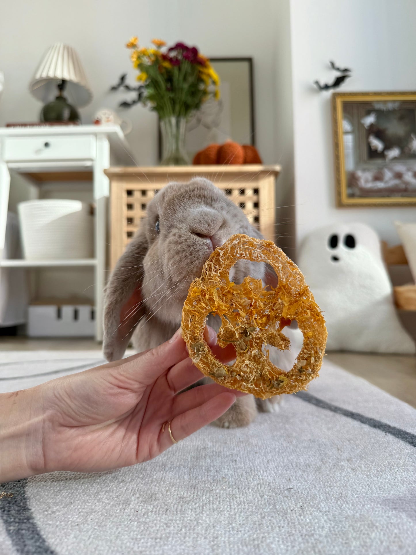 Halloween Binky Bundle