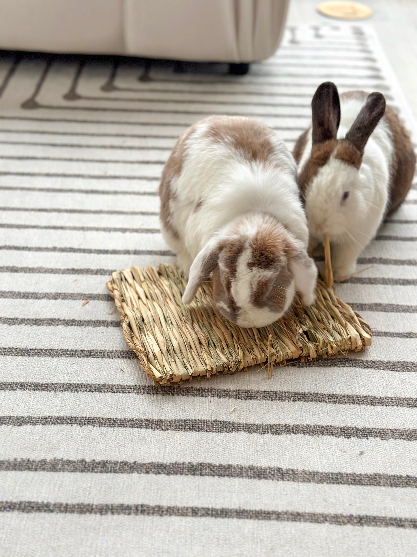 Bonding Grass Mat