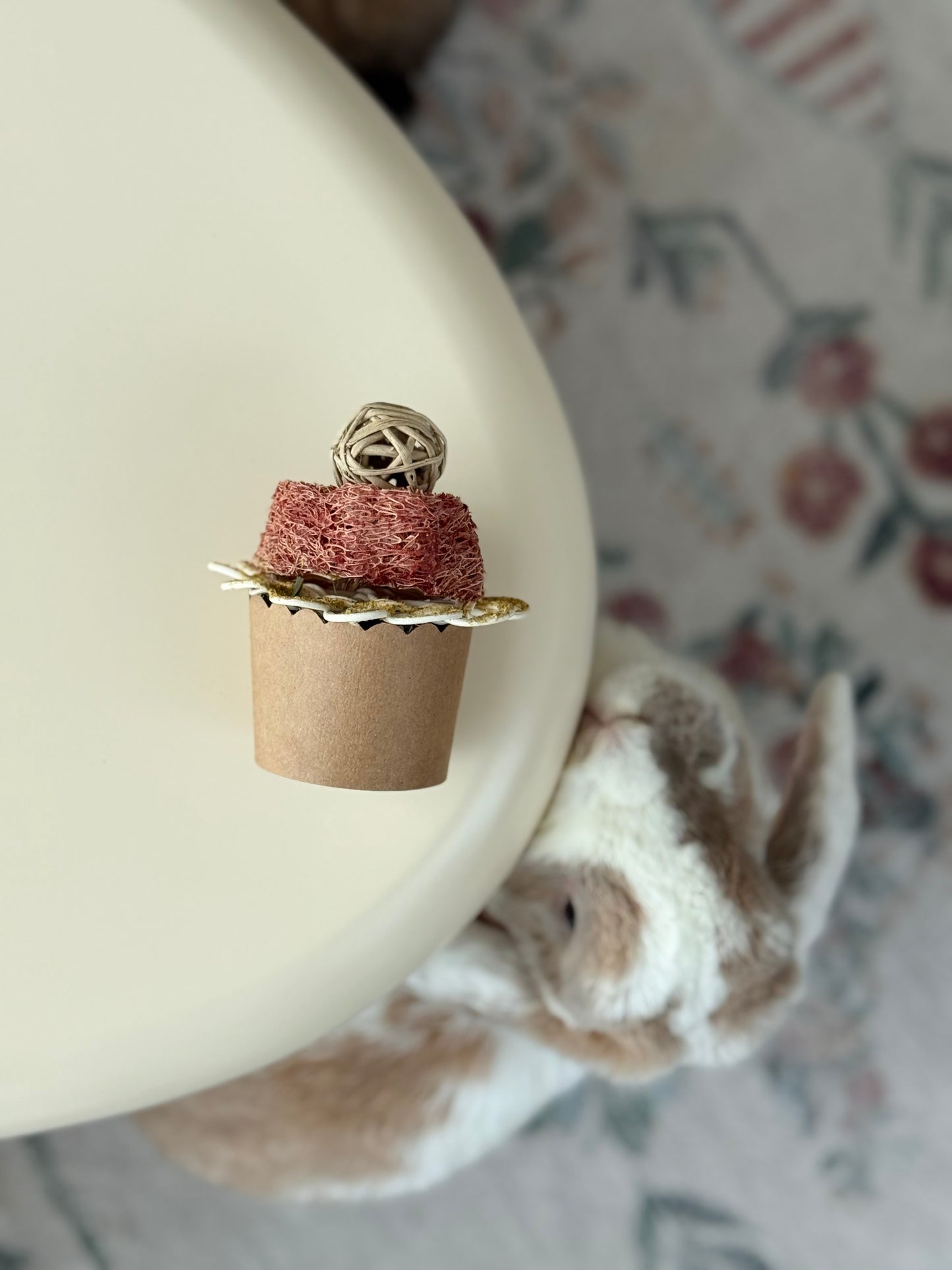 Cupcake Chew Toy