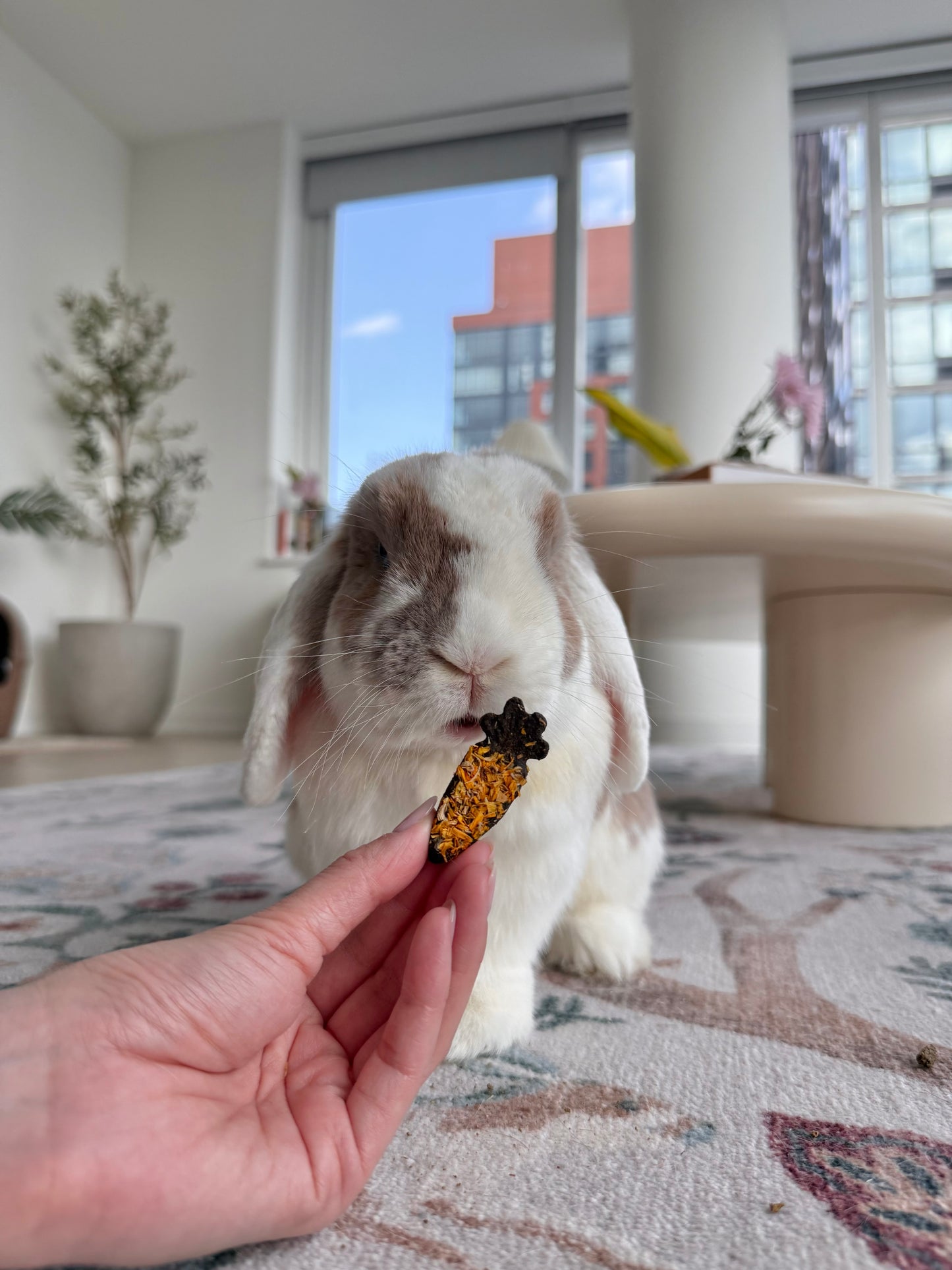Hoppy Harvest Cookies