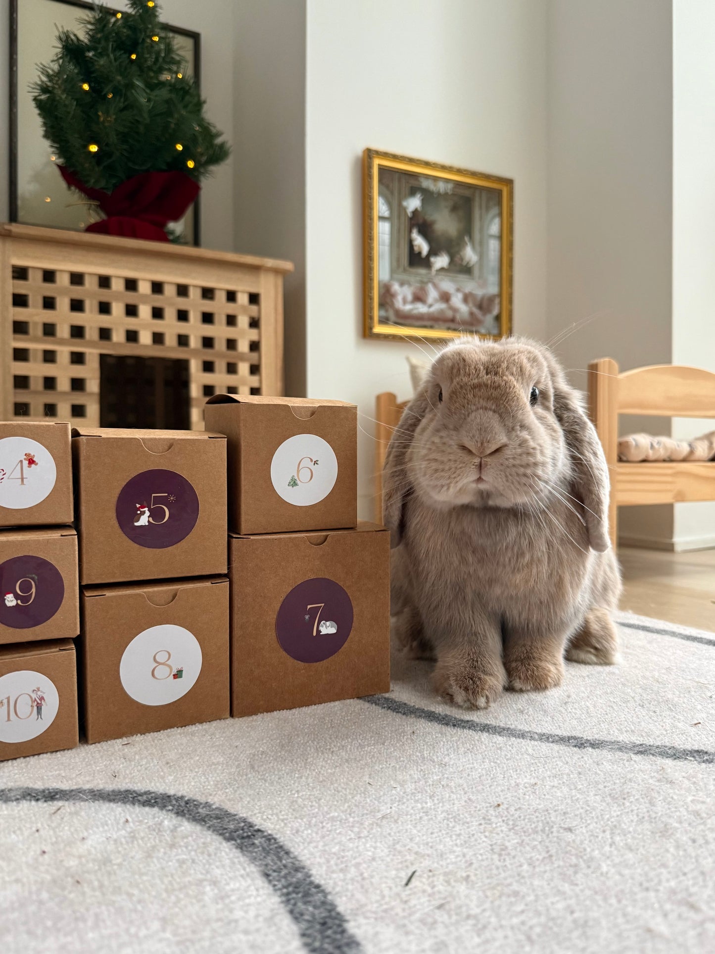 Advent Calendar (Pre-order)