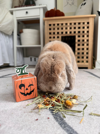 Halloween Binky Bundle - Ships 10/15