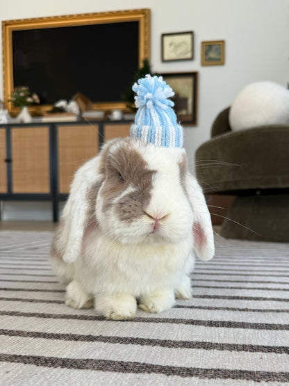 Bunny Beanies