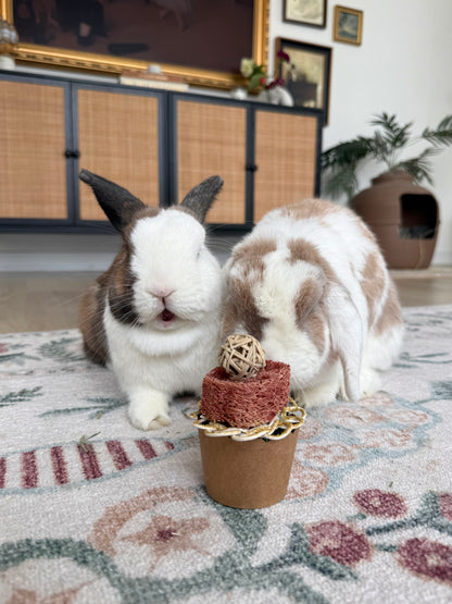Cupcake Chew Toy