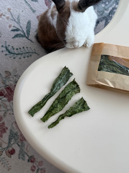 Kale Chips