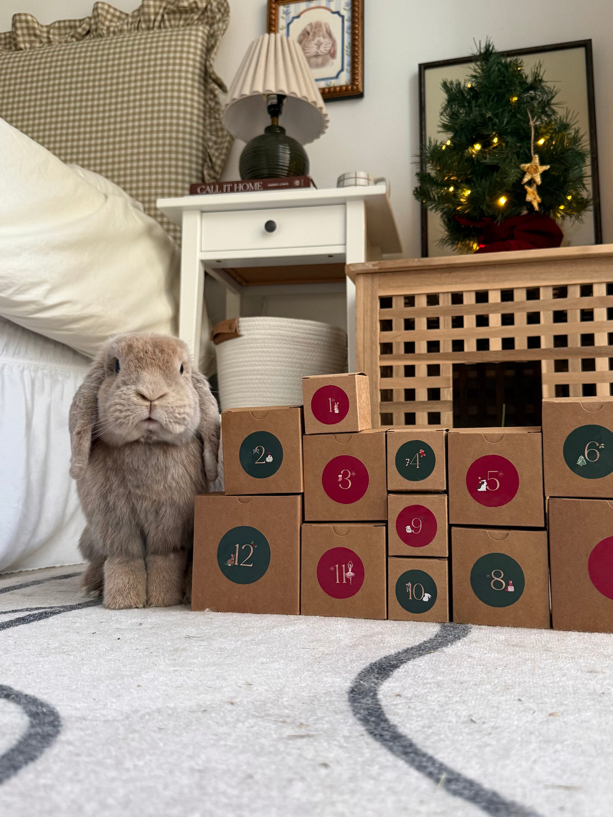 2026 Advent Calendar (Pre-order)