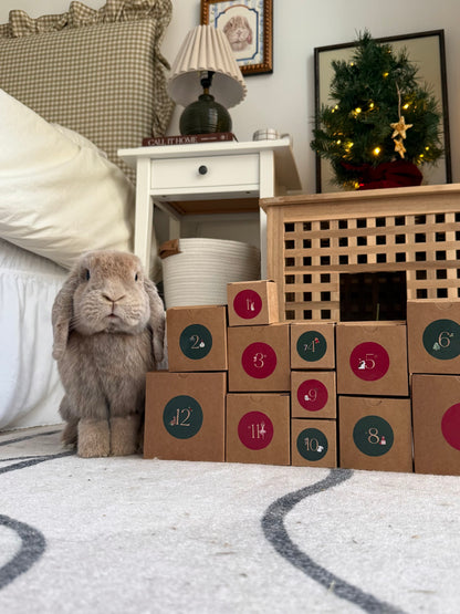 2026 Advent Calendar (Pre-order)