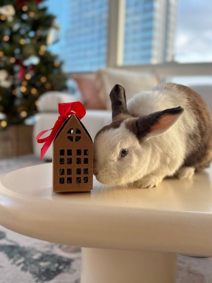 Winter Cottage Forage