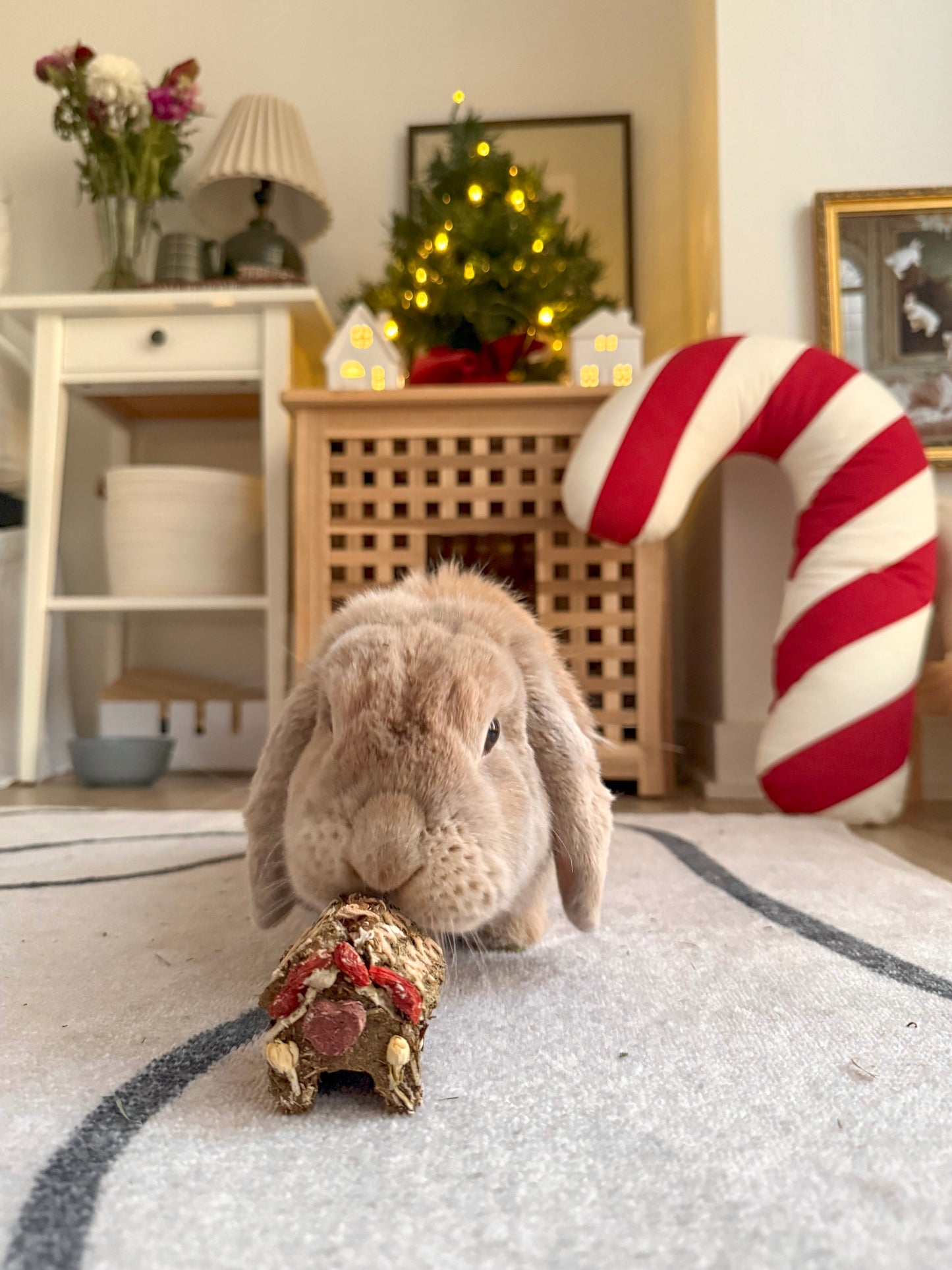 DIY Gingerbread House