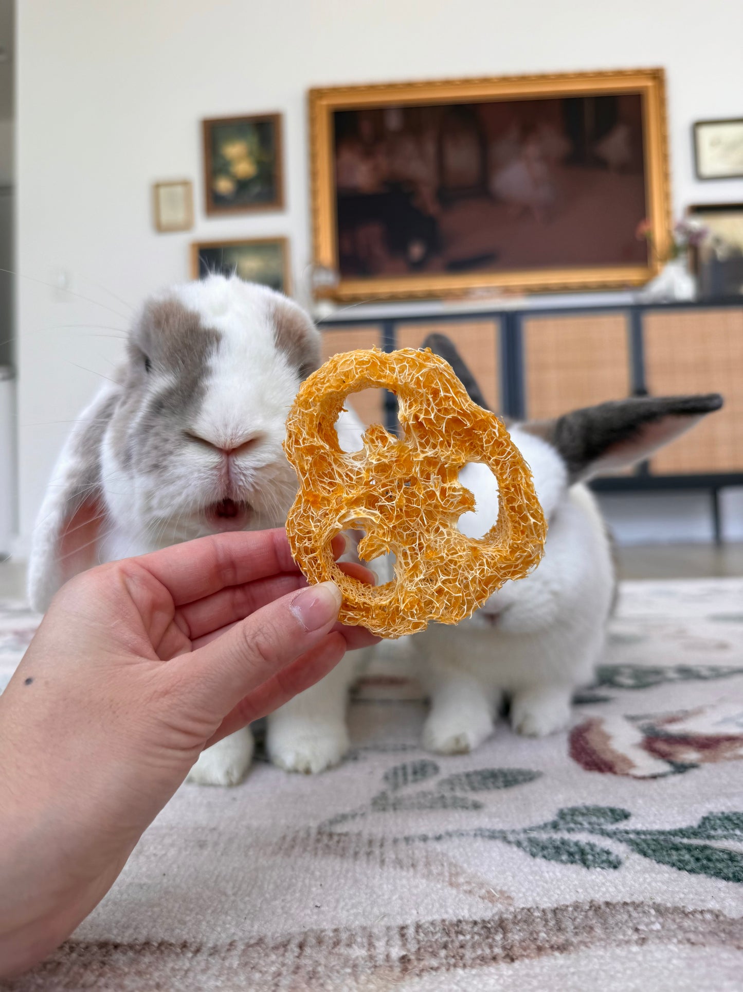 Summer Binky Bundle