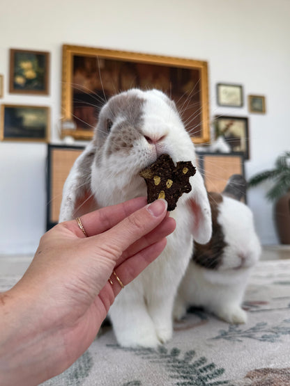 Halloween Binky Bundle