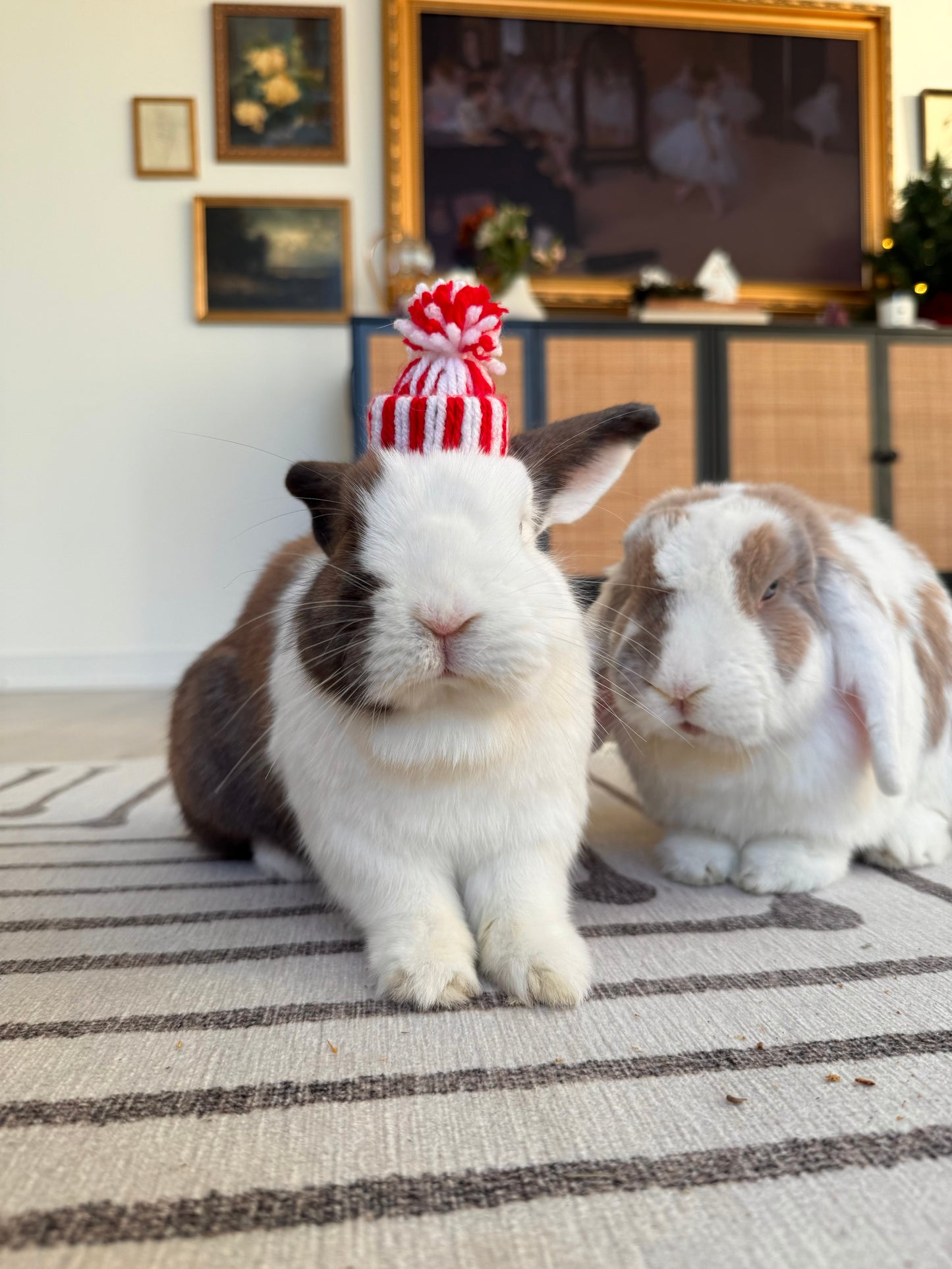 Bunny Beanies