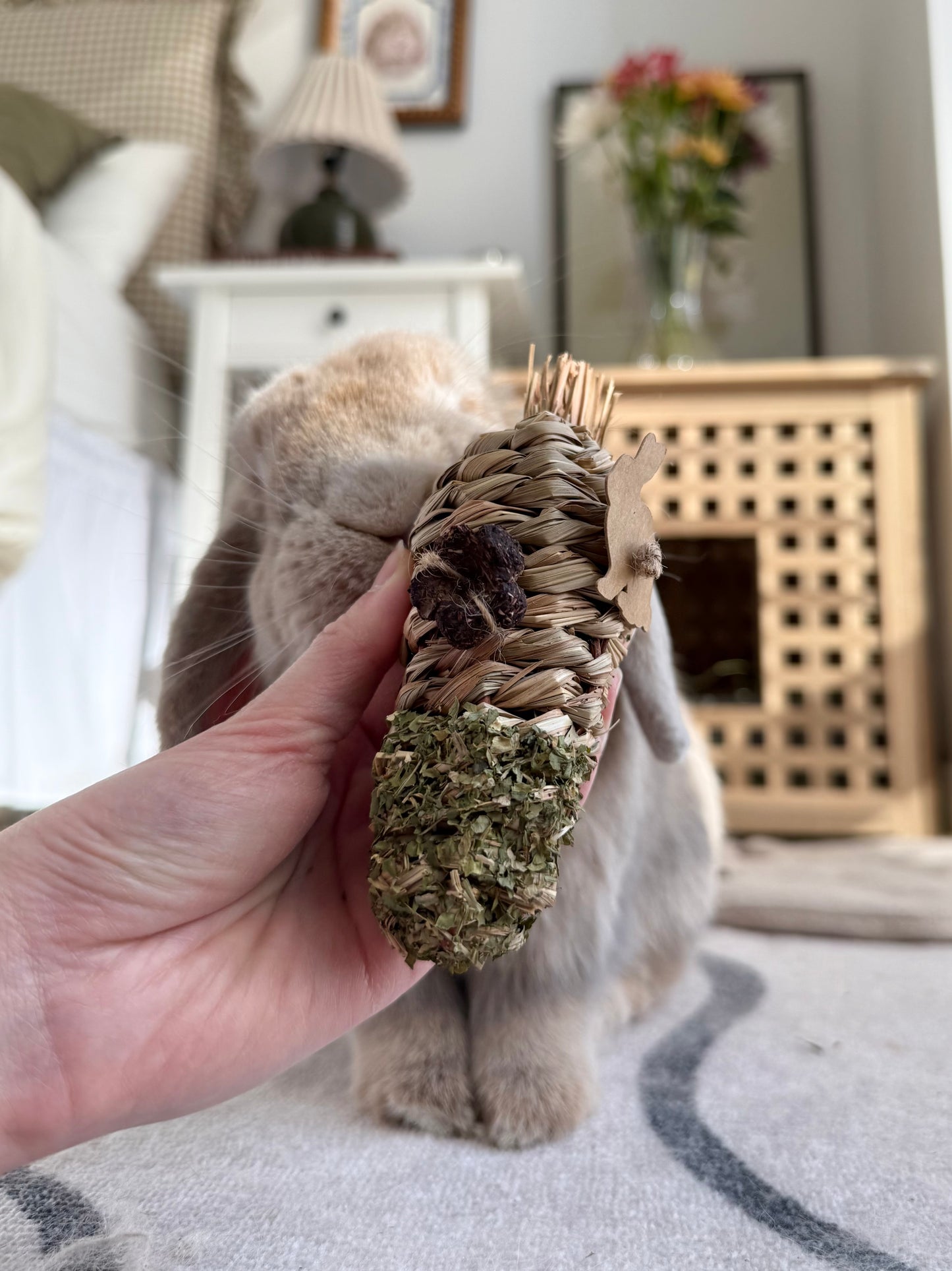 Carrot Chew Toy