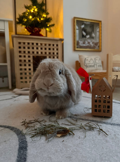 Winter Cottage Forage