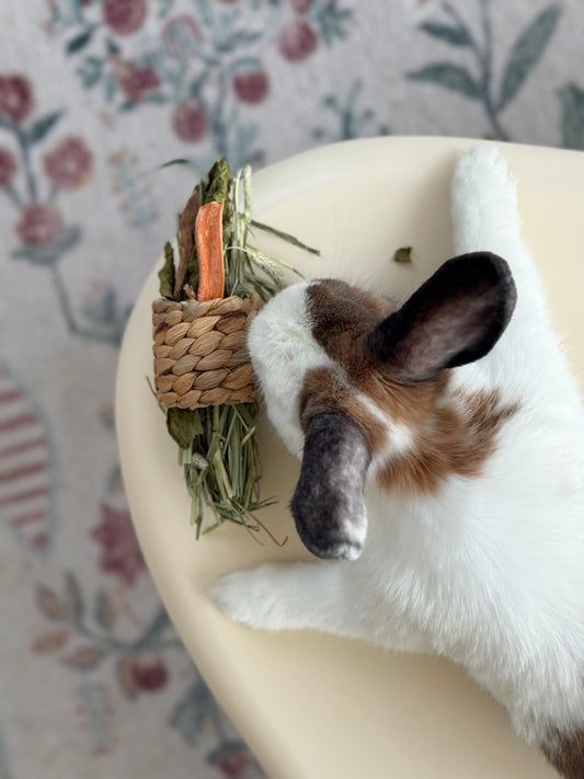 Hyacinth Log