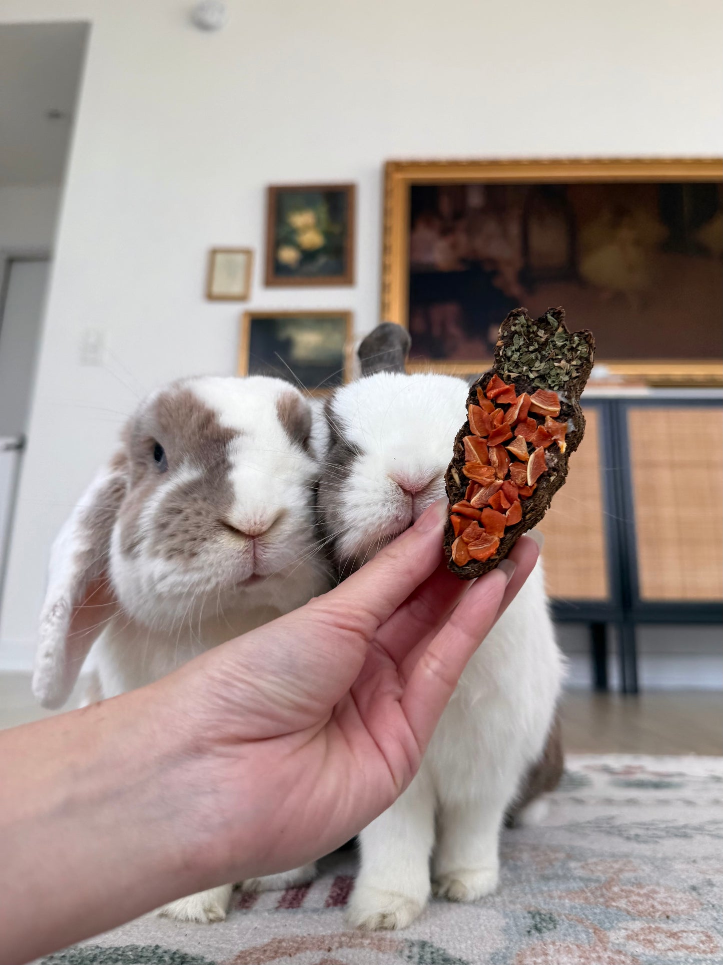 Jumbo Carrot Cookie