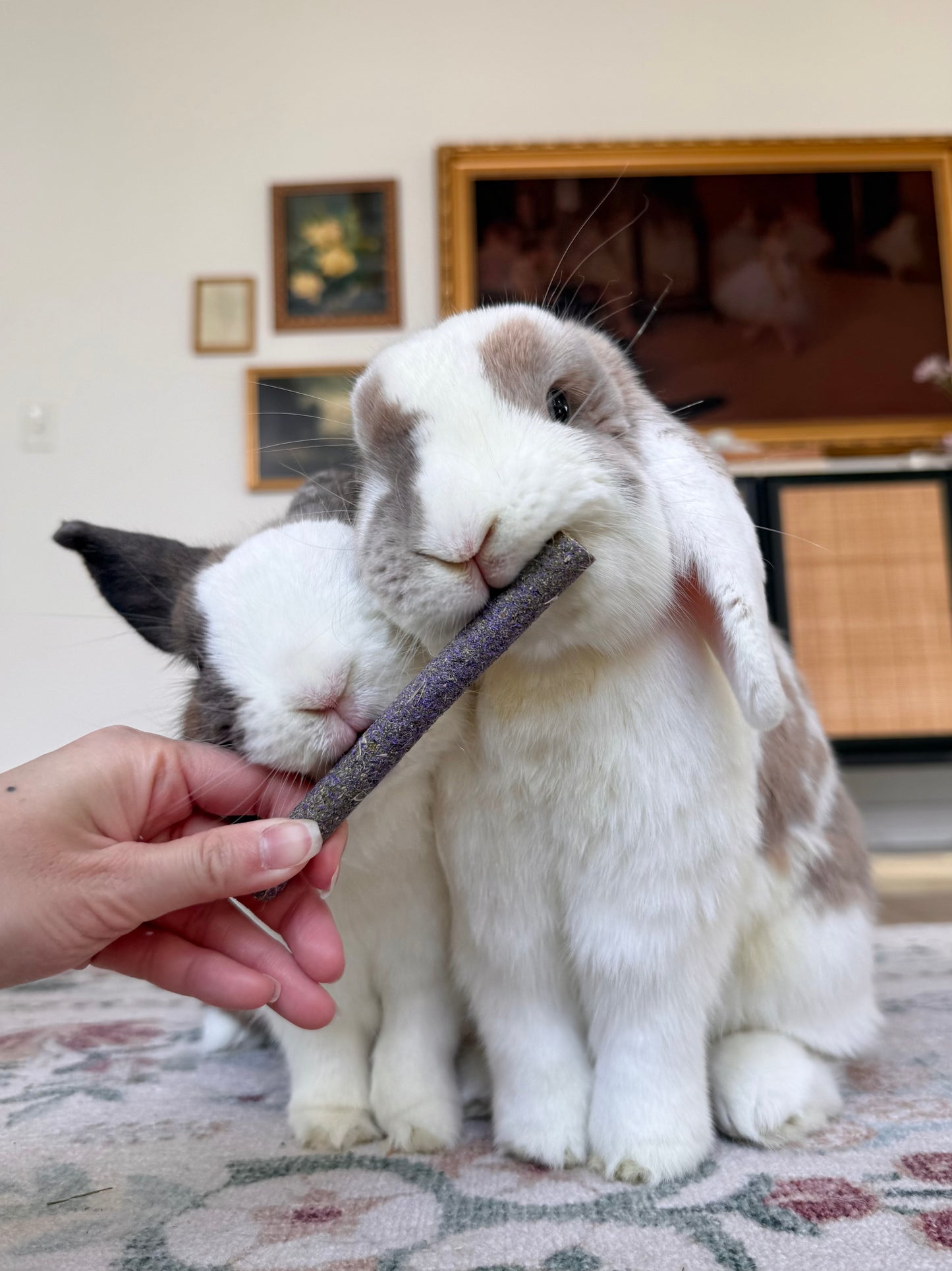 Hay Sticks