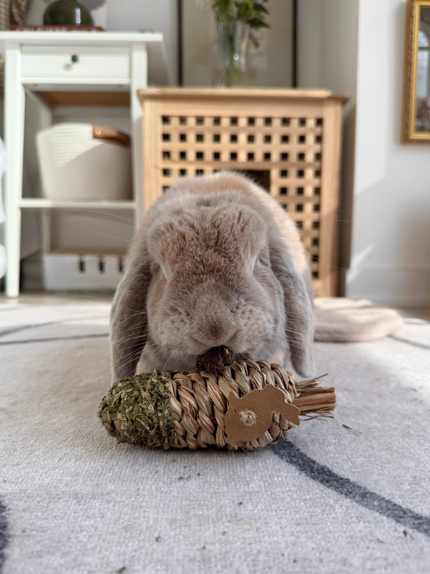 Carrot Chew Toy