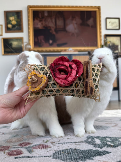 Blooming Chew Toy