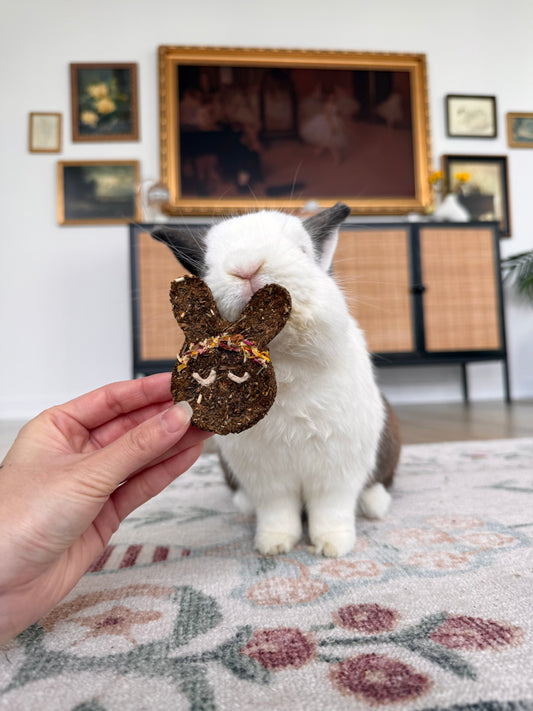 Jumbo Bunny Cookie