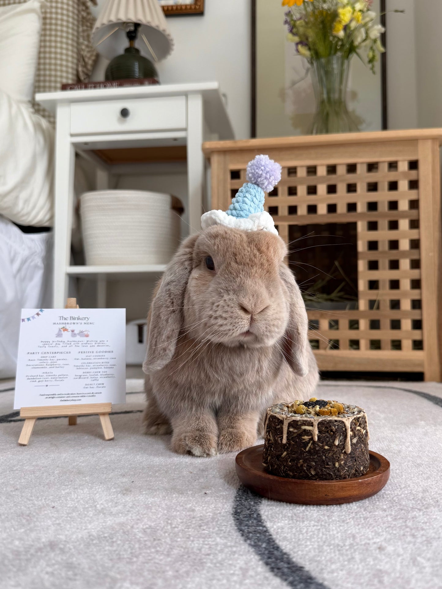 Crochet Party Hat