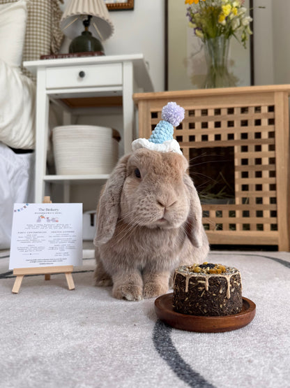 Crochet Party Hat