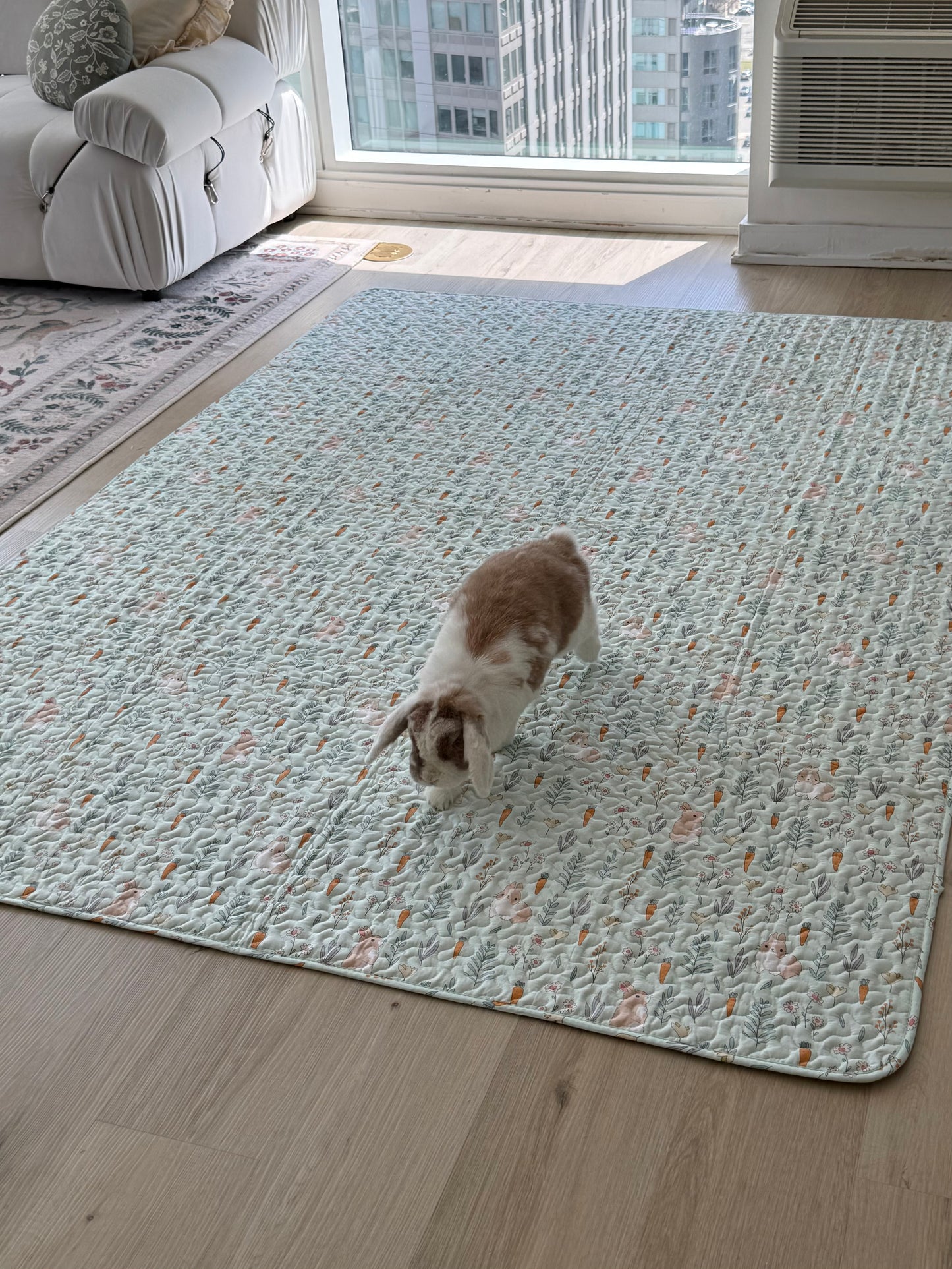 Binky Mat