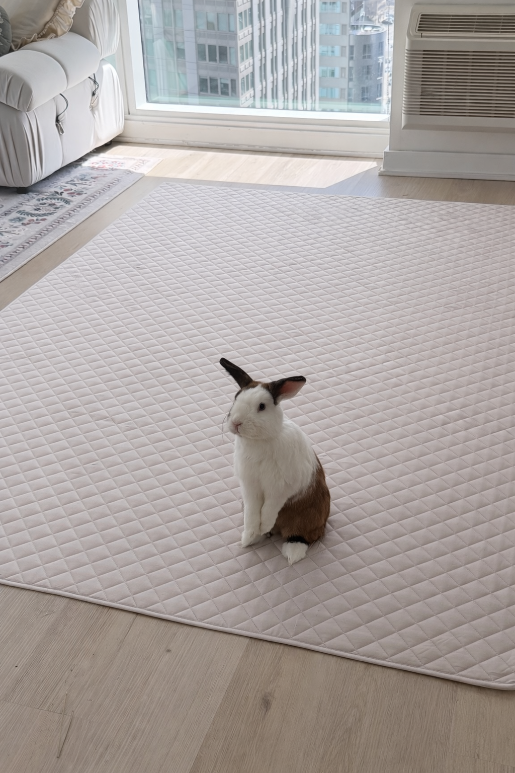 Binky Mat