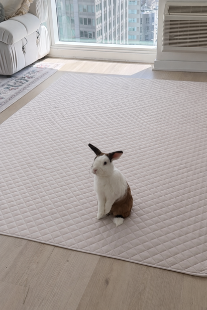 Binky Mat