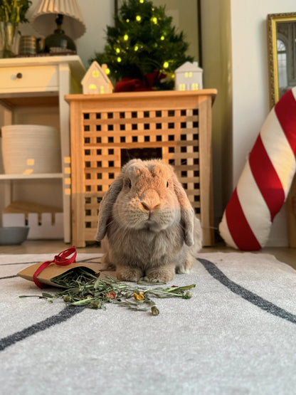 Holiday Binky Bundle (Pre-order)