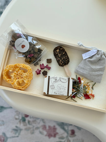 Summer Binky Bundle