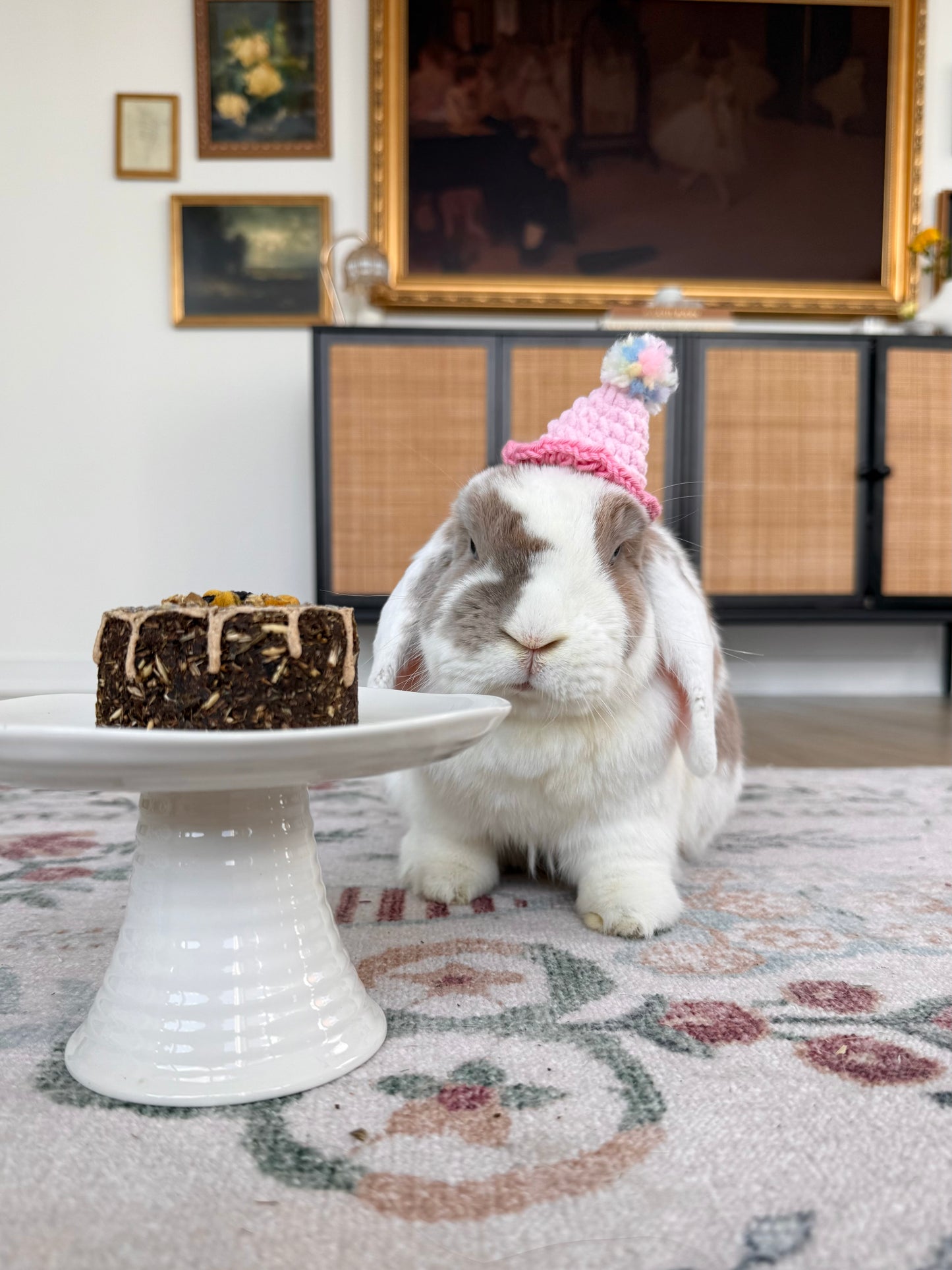 Crochet Party Hat