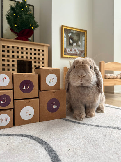 Advent Calendar (Pre-order)