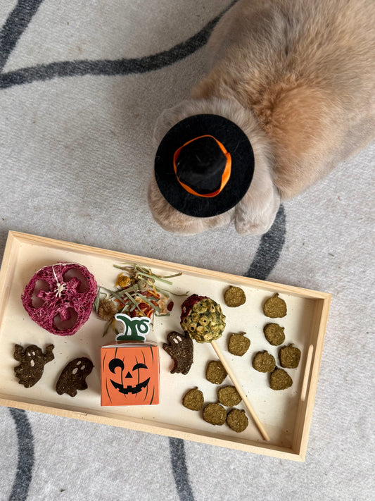 Halloween Binky Bundle - Ships 10/15